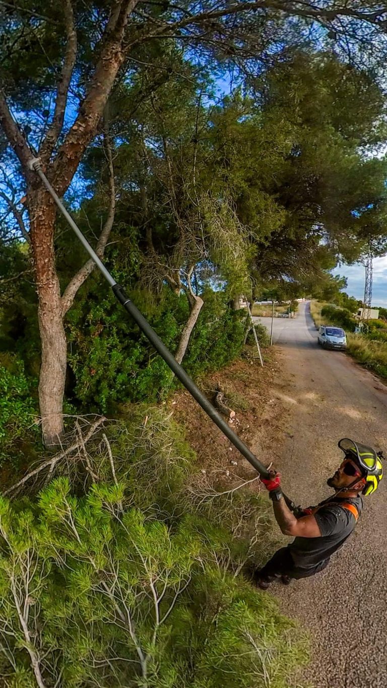 Además, la gestión forestal sostenible implica llevar a cabo estas prácticas con un enfoque en la conservación del ecosistema. Esto significa planificar cuidadosamente las actividades de desbroce y limpieza para asegurar que se mantenga un equilibrio saludable entre la eliminación de vegetación no deseada y la preservación de la biodiversidad. La incorporación de técnicas como el desbroce selectivo y la limpieza ecológica ayuda a proteger los suelos, el agua, y los hábitats de la fauna local, asegurando así la salud y la sostenibilidad de los ecosistemas forestales a largo plazo.